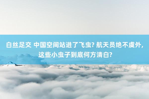 白丝足交 中国空间站进了飞虫? 航天员绝不虞外， 这些小虫子到底何方清白?