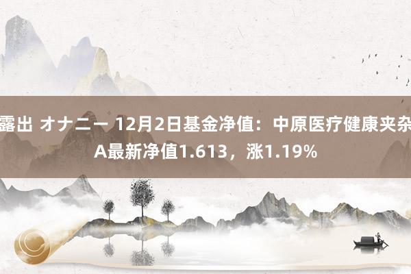 露出 オナニー 12月2日基金净值：中原医疗健康夹杂A最新净值1.613，涨1.19%