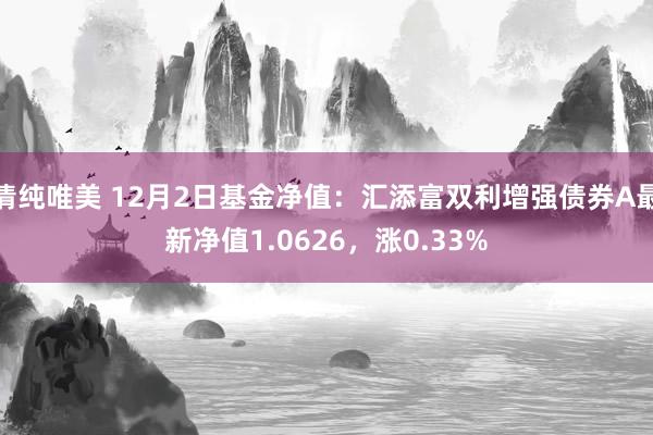 清纯唯美 12月2日基金净值：汇添富双利增强债券A最新净值1.0626，涨0.33%