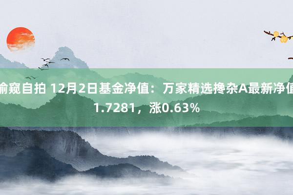 偷窥自拍 12月2日基金净值：万家精选搀杂A最新净值1.7281，涨0.63%