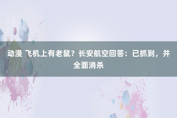 动漫 飞机上有老鼠？长安航空回答：已抓到，并全面消杀