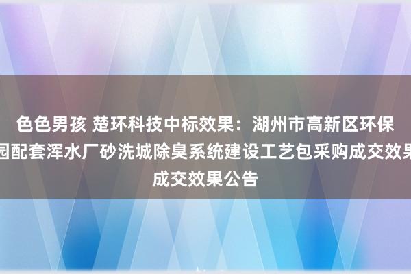 色色男孩 楚环科技中标效果：湖州市高新区环保产业园配套浑水厂砂洗城除臭系统建设工艺包采购成交效果公告