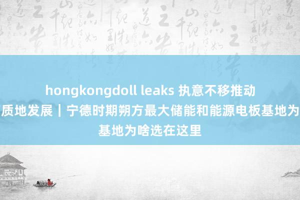 hongkongdoll leaks 执意不移推动民营经济高质地发展｜宁德时期朔方最大储能和能源电板基地为啥选在这里