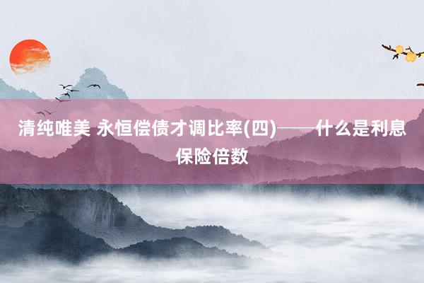 清纯唯美 永恒偿债才调比率(四)──什么是利息保险倍数