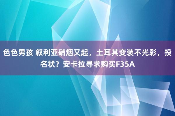 色色男孩 叙利亚硝烟又起，土耳其变装不光彩，投名状？安卡拉寻求购买F35A