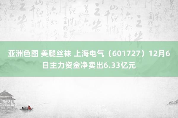 亚洲色图 美腿丝袜 上海电气（601727）12月6日主力资金净卖出6.33亿元