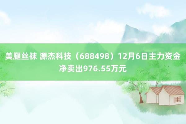 美腿丝袜 源杰科技（688498）12月6日主力资金净卖出976.55万元