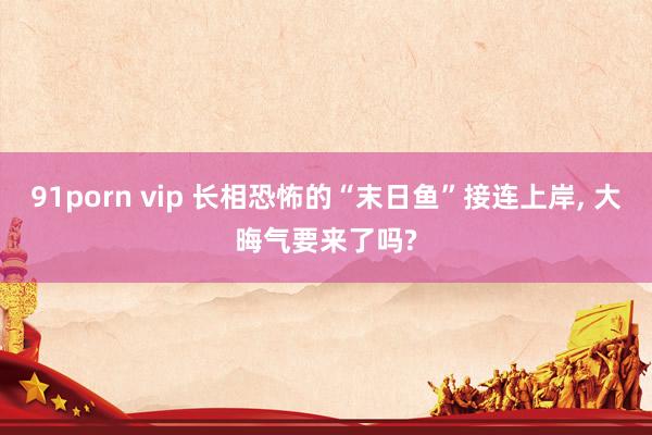 91porn vip 长相恐怖的“末日鱼”接连上岸， 大晦气要来了吗?