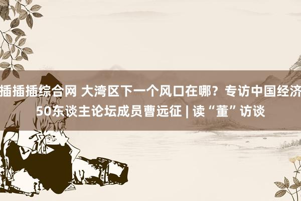 插插插综合网 大湾区下一个风口在哪？专访中国经济50东谈主论坛成员曹远征 | 读“董”访谈