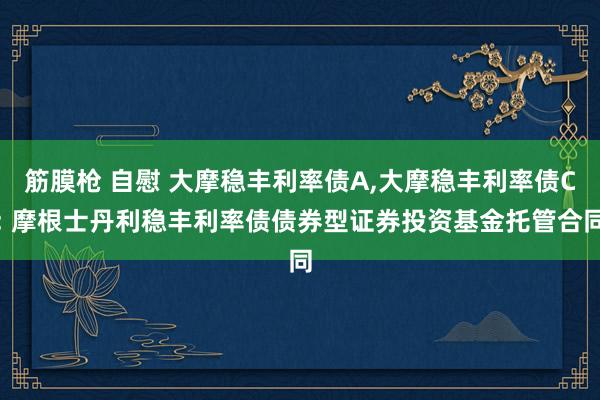 筋膜枪 自慰 大摩稳丰利率债A，大摩稳丰利率债C: 摩根士丹利稳丰利率债债券型证券投资基金托管合同