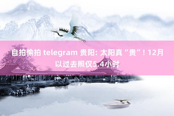 自拍偷拍 telegram 贵阳: 太阳真“贵”! 12月以过去照仅5.4小时