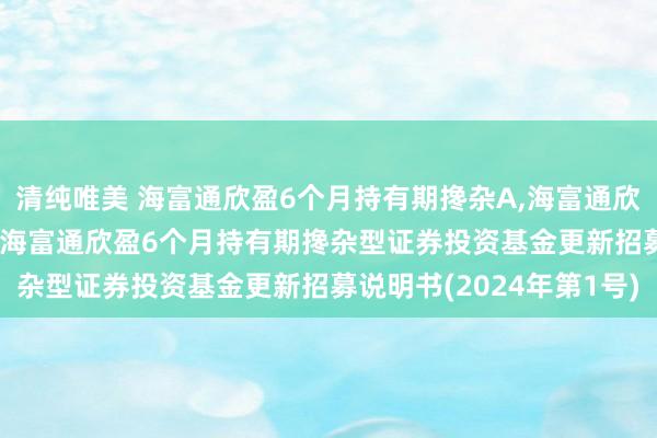 清纯唯美 海富通欣盈6个月持有期搀杂A，海富通欣盈6个月持有期搀杂C: 海富通欣盈6个月持有期搀杂型证券投资基金更新招募说明书(2024年第1号)