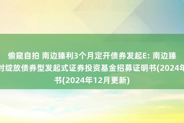 偷窥自拍 南边臻利3个月定开债券发起E: 南边臻利3个月按时绽放债券型发起式证券投资基金招募证明书(2024年12月更新)