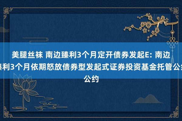 美腿丝袜 南边臻利3个月定开债券发起E: 南边臻利3个月依期怒放债券型发起式证券投资基金托管公约