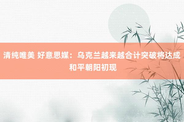 清纯唯美 好意思媒：乌克兰越来越合计突破将达成 和平朝阳初现