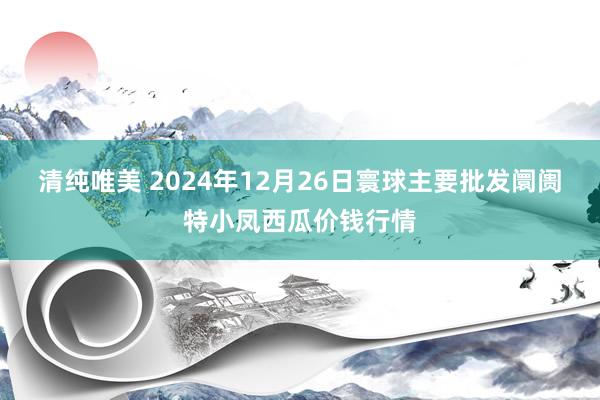 清纯唯美 2024年12月26日寰球主要批发阛阓特小凤西瓜价钱行情