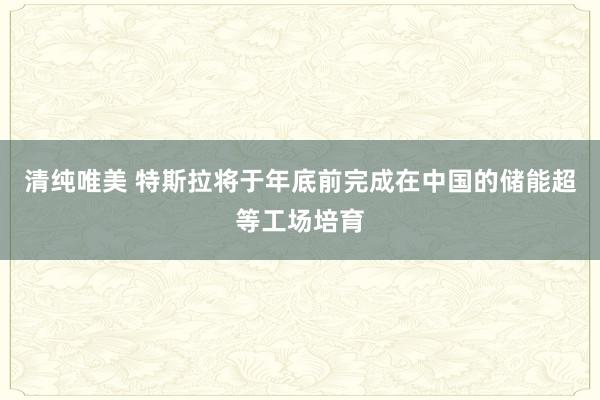 清纯唯美 特斯拉将于年底前完成在中国的储能超等工场培育