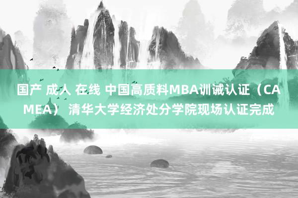 国产 成人 在线 中国高质料MBA训诫认证（CAMEA） 清华大学经济处分学院现场认证完成