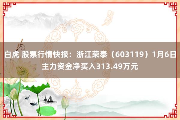 白虎 股票行情快报：浙江荣泰（603119）1月6日主力资金净买入313.49万元