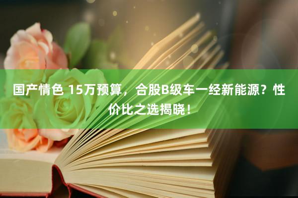 国产情色 15万预算，合股B级车一经新能源？性价比之选揭晓！