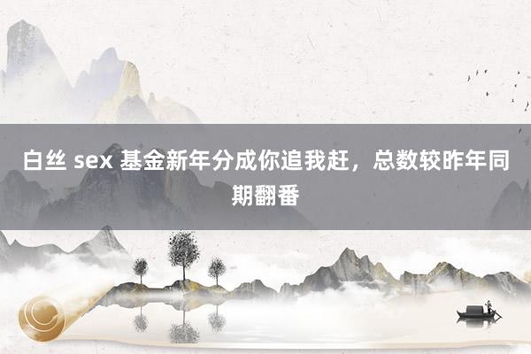 白丝 sex 基金新年分成你追我赶，总数较昨年同期翻番