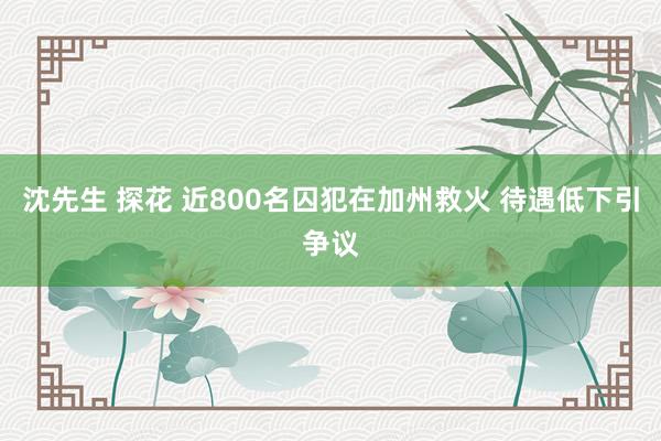 沈先生 探花 近800名囚犯在加州救火 待遇低下引争议