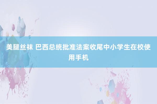 美腿丝袜 巴西总统批准法案收尾中小学生在校使用手机