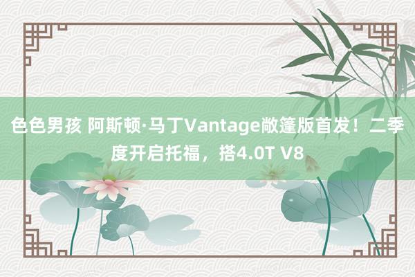 色色男孩 阿斯顿·马丁Vantage敞篷版首发！二季度开启托福，搭4.0T V8