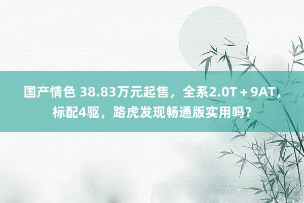 国产情色 38.83万元起售，全系2.0T＋9AT，标配4驱，路虎发现畅通版实用吗？