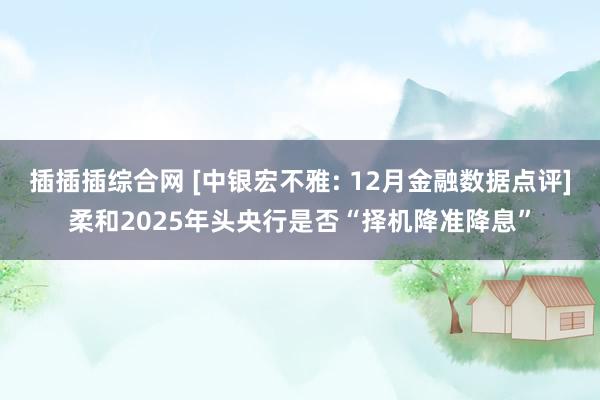 插插插综合网 [中银宏不雅: 12月金融数据点评]柔和2025年头央行是否“择机降准降息”