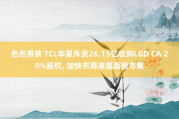 色色男孩 TCL华星斥资26.15亿收购LGD CA 20%股权， 加快布局液晶面板市集