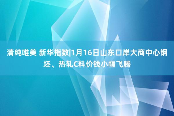 清纯唯美 新华指数|1月16日山东口岸大商中心钢坯、热轧C料价钱小幅飞腾